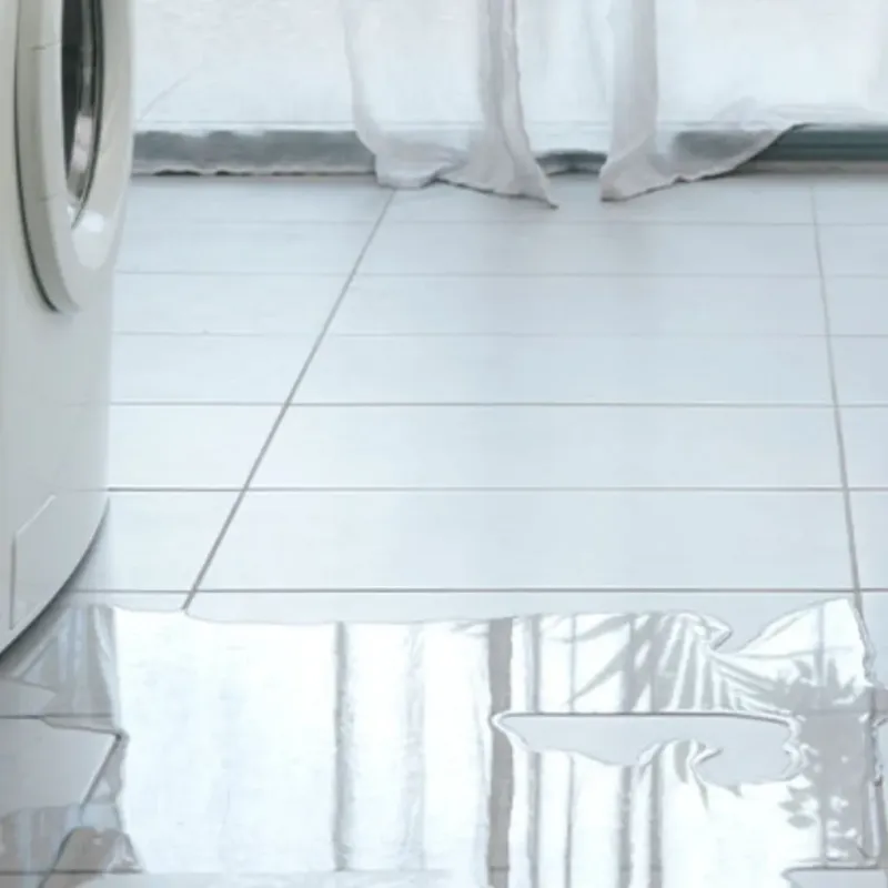 Appliance Leak Cleanup in Loris, SC